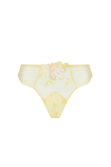 intimo-ortopedia-abbiati-Slip-Frisson-D'or-Lise-Charmel-ACH0761-0